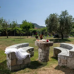 https://villa-tsitreli.hotelschalkidiki.net