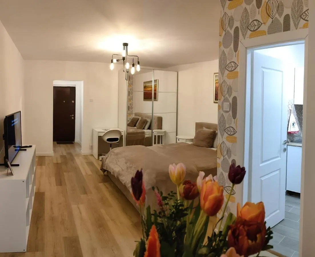 Studio Lotus Bucureşti România